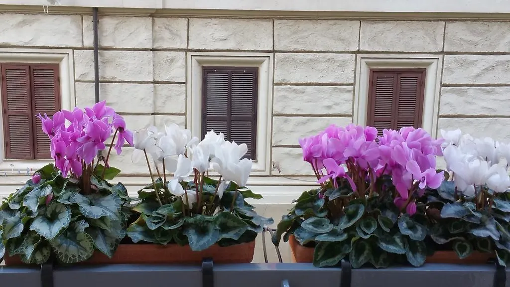 La Casa Del Pigneto Apartment Rome